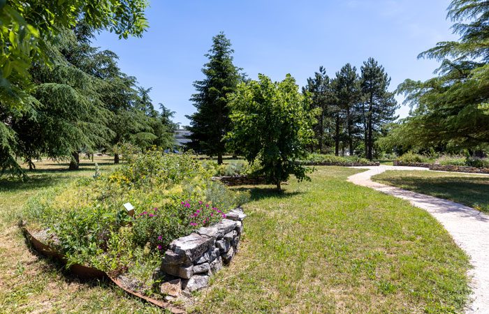 Jardin-13ème-DBLE4-La-Cavalerie-Arnaud-Mirabel-Paysagiste-concepteur